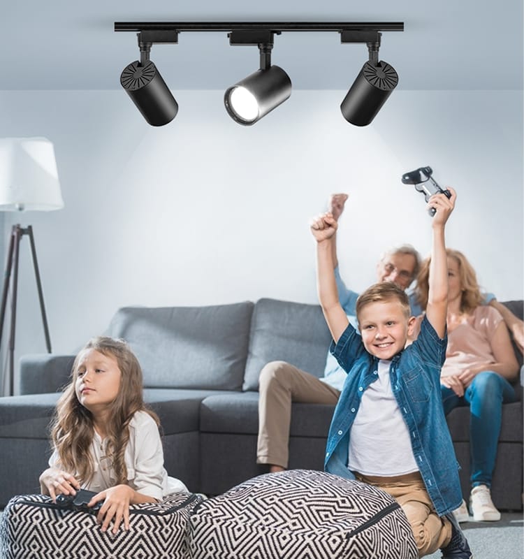 Ceiling Mounted COB Track Light (20W)