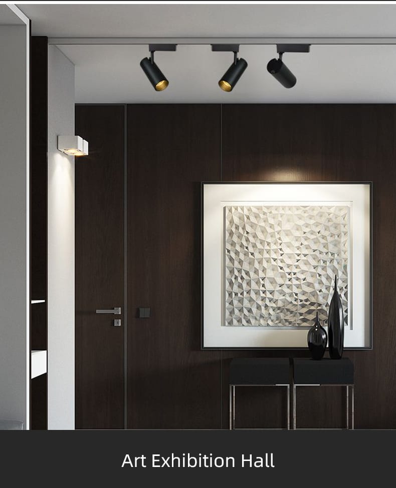Ceiling Mounted COB Track Light (12W)