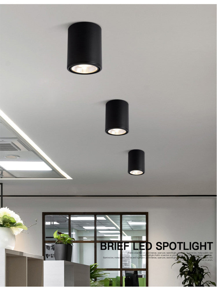 Cylindrical COB Spot Light