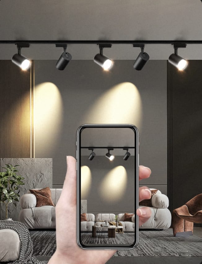 Ceiling Mounted COB Track Light (20W)