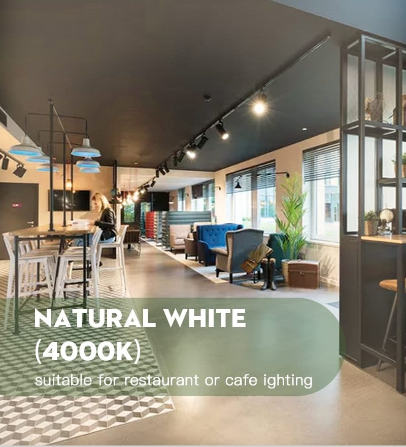 Ceiling Mounted COB Track Light (12W)