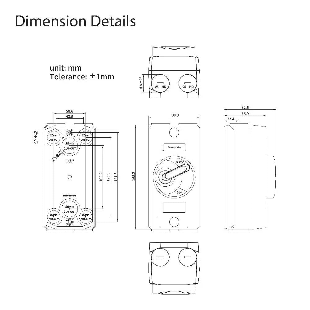 Panasonic Isolator Switch 2P 20A IP66