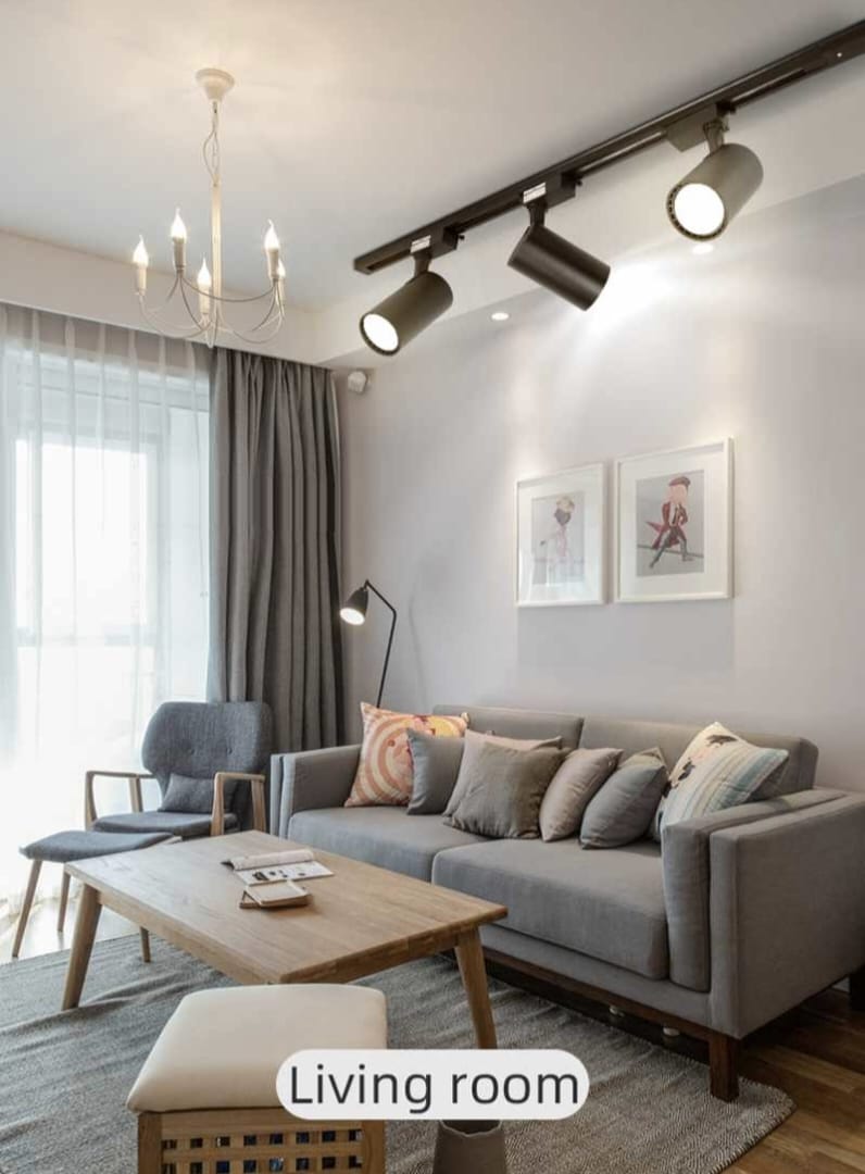 Ceiling Mounted COB Track Light (20W)