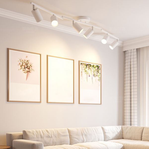Ceiling Mounted COB Track Light (20W)