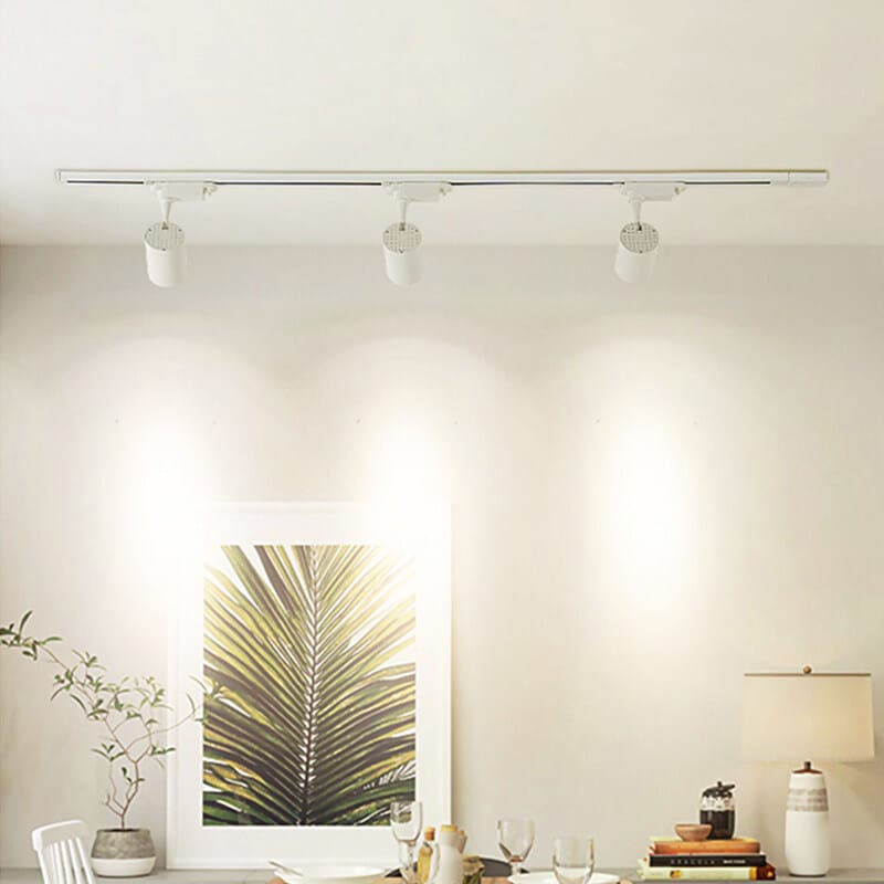 Ceiling Mounted COB Track Light (20W)