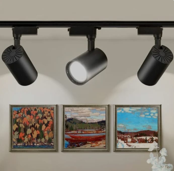 Ceiling Mounted COB Track Light (20W)